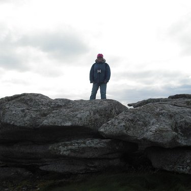 Profile Picture of Diane Haydon-foster (@dianehfoster) on Twitter