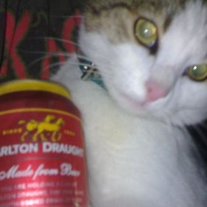 Profile Picture of Junior Battle (@262314342) on Myspace