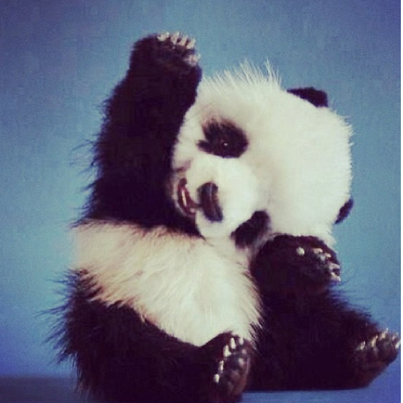 Profile Picture of Ria Amponin (@weeyah) on Poshmark