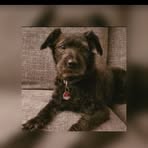 Profile Picture of Brandon Fuhs (@Brandon-Fuhs) on Facebook