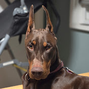 Profile Picture of Deborah Marks (@itzhak221b) on Youtube