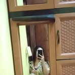 Profile Picture of Daun Jeruk (@Daun-Jeruk) on Facebook