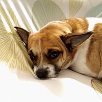 Profile Picture of Steven Oliff (@steven-oliff) on Quora