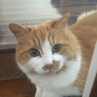Profile Picture of Jenna Fitzpatrick (@jennaFi52672700) on Twitter