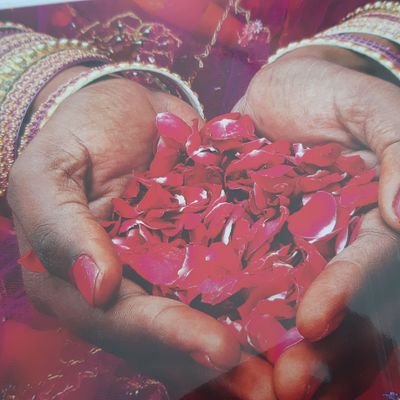 Profile Picture of Daniela König (@DanielaKnig12) on Twitter