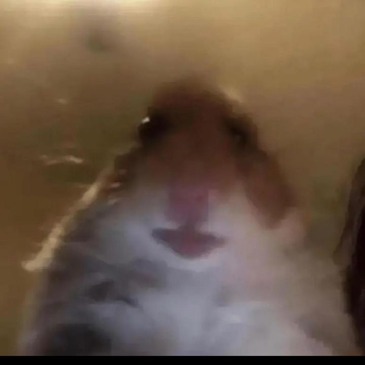Profile Picture of David Devenny (@54_soon_to_be_55) on Tiktok