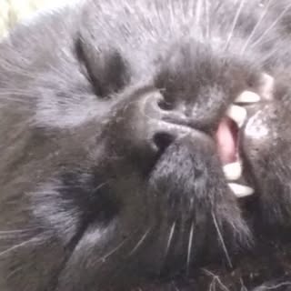 Profile Picture of Tim Benham (@benham_tim) on Instagram