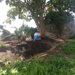 Profile Picture of Darci Werner (@darci.werner.39) on Facebook