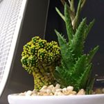 Profile Picture of Benjamin Wood (@beemer8253) on Instagram