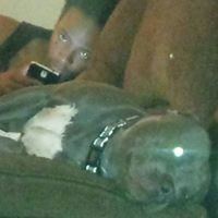 Profile Picture of Patrick Saunders (@patrick-saunders-14) on Quora