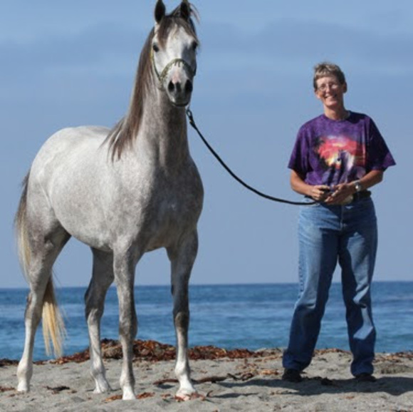 Valerie Nestrick - Poshmark Profile Picture of Valerie Nestrick (@valerienestrick) on Poshmark