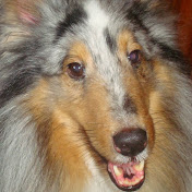 Rita Giassi - Youtube Profile Picture of Rita Giassi (@ritagiassi2208) on Youtube