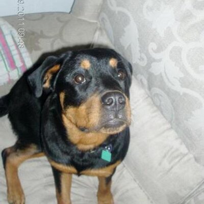 Profile Picture of Darren Badger (@MadDaz01) on Twitter