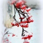 Profile Picture of Linacre (@linacrefloydsb) on Instagram