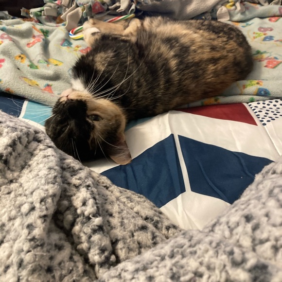 Profile Picture of Dierdra Fish (@dierdrafish) on Poshmark