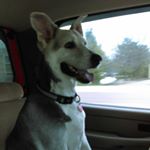 Profile Picture of Captainox (@pauleyeric) on Instagram