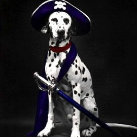 Harvey Cooper - Myspace Profile Picture of Harvey Cooper (@unofilmpirate) on Myspace