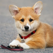 Profile Picture of James Pyper (@jamesjams158) on Youtube