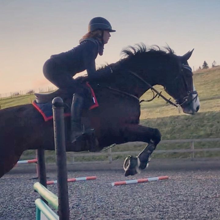 Profile Picture of cromwellandlucy (@cromwellandlucy) on Tiktok