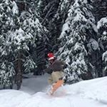 Profile Picture of Logan Walsh (@dr.walsh89) on Instagram