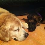 Debbie Pallett - Instagram Profile Picture of Debbie Pallett (@debspal10) on Instagram