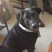 Profile Picture of Bob Bisson (@rbisso2) on Pinterest