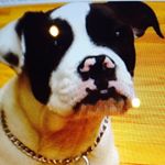 Profile Picture of James Shier (@jwshier2004) on Instagram