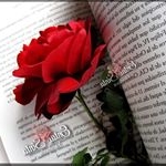 Profile Picture of Ivani Silva (@ivani_marcal) on Instagram