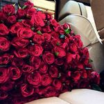 Profile Picture of Behnam.rafat (@behnam_rafat) on Instagram