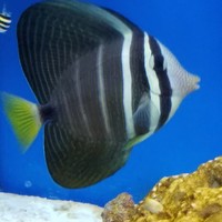 Profile Picture of Kevin Favorite (@kevin-favorite-3) on Quora