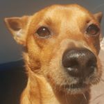 Profile Picture of Bobby (@bobby_sanchezzzz) on Instagram