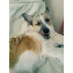 Profile Picture of Alice (@aliceerkol) on Instagram