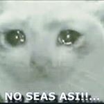 Profile Picture of William Thomas Borum Cuya (@thomasborumcuya) on Instagram