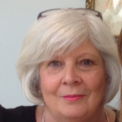 Profile Picture of Susan Hankin (@HankinSusan) on Twitter