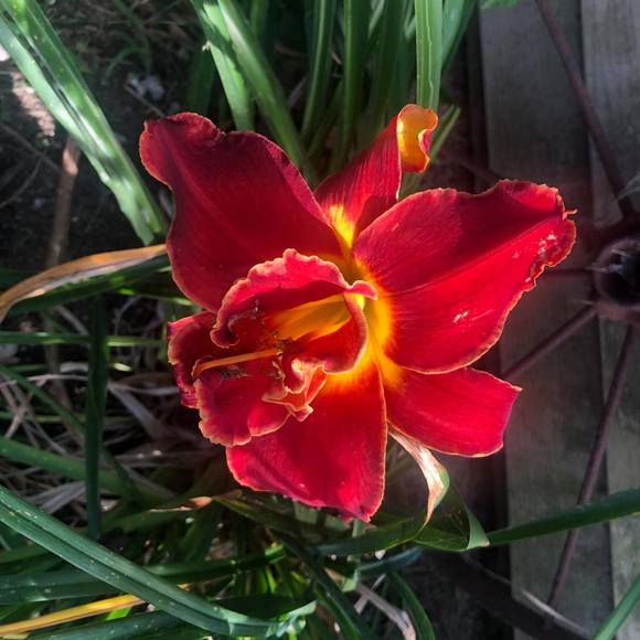 Profile Picture of Janet Davis (@deljan2) on Poshmark