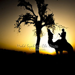 Profile Picture of Mohd Syahrem Che Omar (@syahrem omar) on Flickr