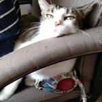 Jane Ramirez - Instagram Profile Picture of Jane Ramirez (@janelovesphotography) on Instagram