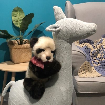 Profile Picture of Jeremy Ashton (@JeremyAshton10) on Twitter