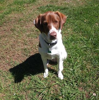 Profile Picture of Clare Lange (@Clare-Lange) on Facebook