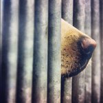 Profile Picture of markbottomley (@markbottomley) on Instagram