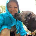 Profile Picture of Stephanie Morrow (@clevercaninesllc) on Instagram