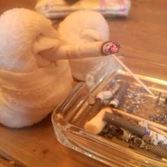 Profile Picture of アトー沢ザナク (@atohsawazana) on Tiktok