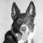 Profile Picture of Jmwalder (@jmwalder) on Flickr