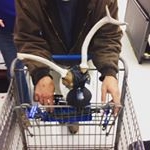 Profile Picture of Phillp (@phillipduckbuck2016) on Instagram