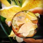 Profile Picture of Blake Sandall (@blake.sandall) on Instagram