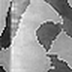 Profile Picture of Rosanna Gregorace (@prof unrat) on Flickr