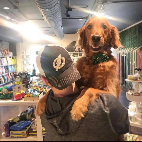 Profile Picture of Heidi Perthel (@hperthel) on Poshmark