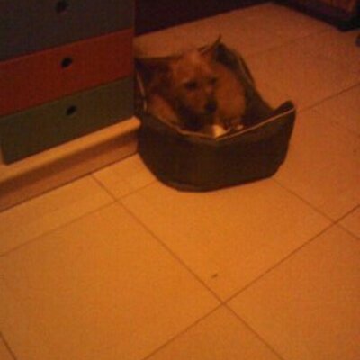 Profile Picture of Paula  Abreu (@paulaabreu2003) on Twitter