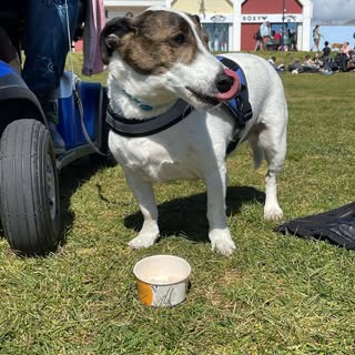 Profile Picture of Tracey Ring (@traceyring) on Instagram