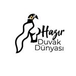 Profile Picture of Hazır Duvak Ve Türban (@hazirduvakdunyasi) on Instagram